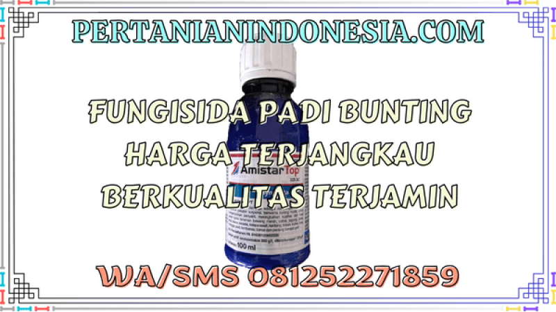 Fungisida Padi Bunting  Harga Terjangkau Berkualitas Terjamin